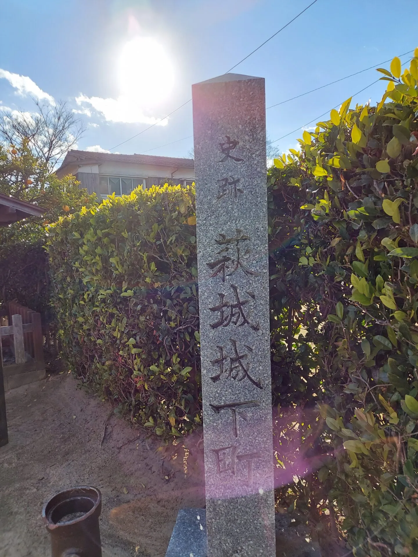 夏みかんと白壁が美しい城下町の小路