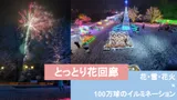 【鳥取】イルミ×花×雪×花火！冬のとっとり花回廊フラワーイルミネーション