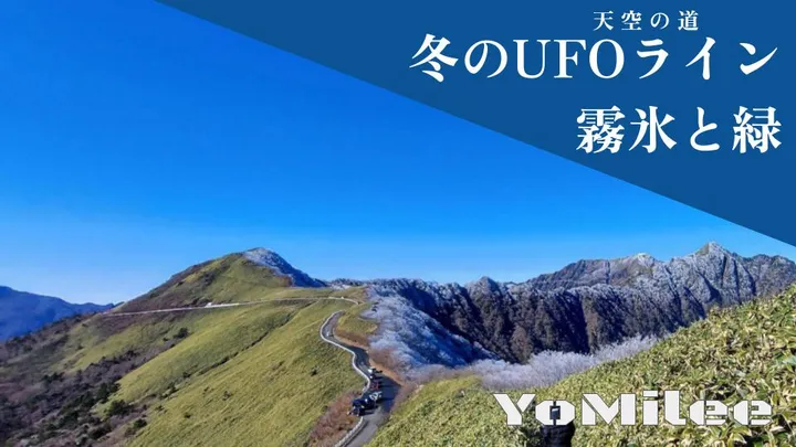 【四国の天空の道】初冬のUFOラインドライブ！霧氷とササ原の絶景と注意点