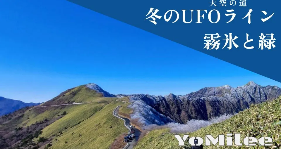 【四国の天空の道】初冬のUFOラインドライブ!霧氷とササ原の絶景と注意点