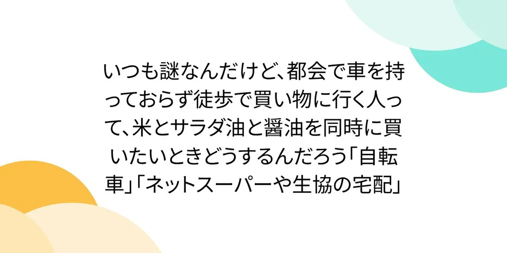 【徹底解説】「いつも謎なんだけど、都会で車を持っておらず徒歩で買…」の注目ポイント!知っておきたい要点と生活へのメリット